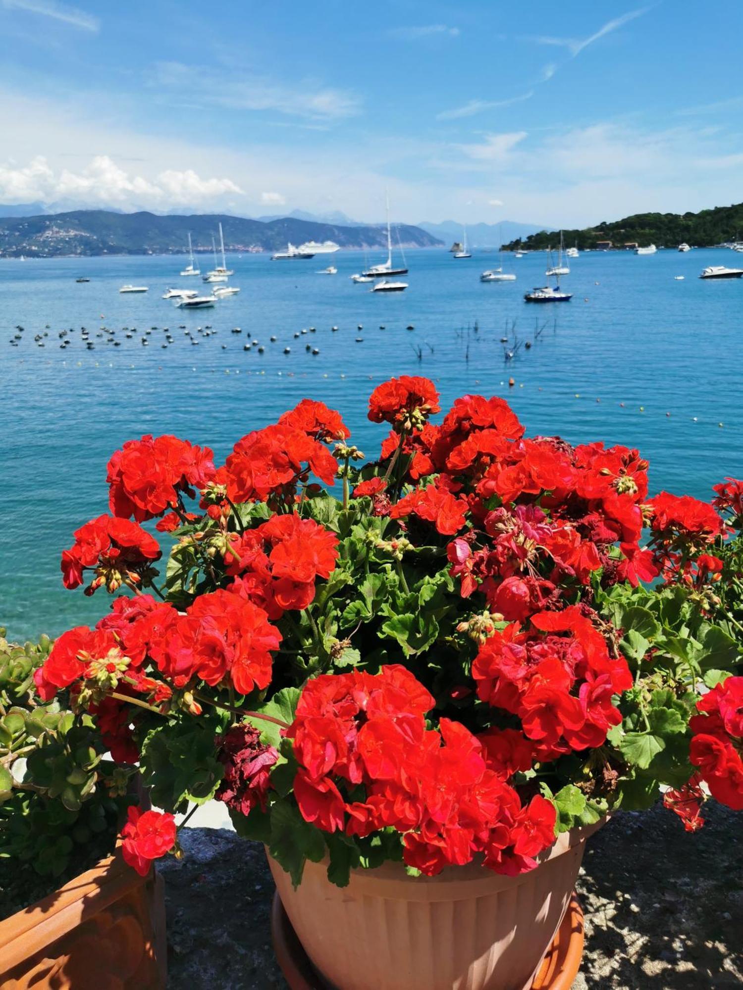B&B La Palafitta Porto Venere Extérieur photo